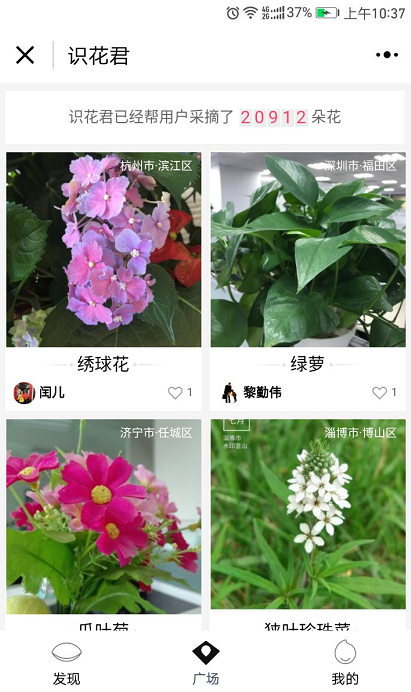 識花君截圖