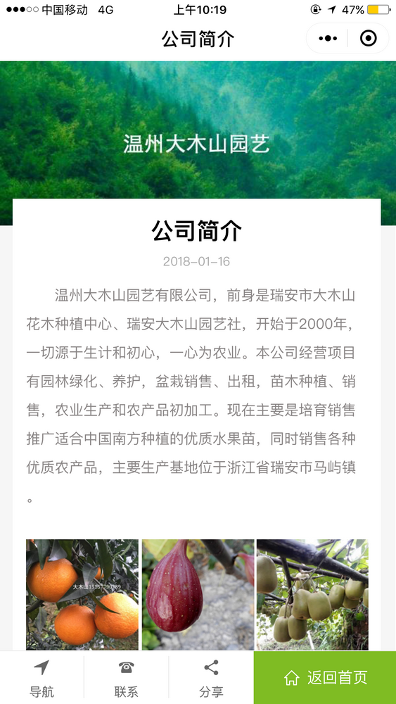 红美人柑桔截图