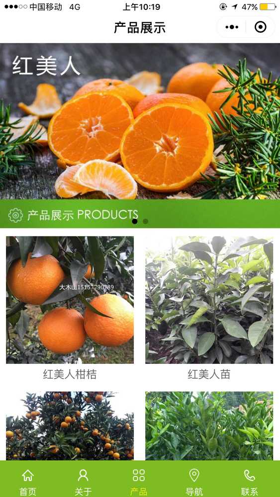 紅美人柑桔截圖