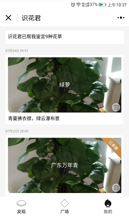 識花君截圖