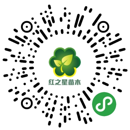 大葉女貞基地二維碼