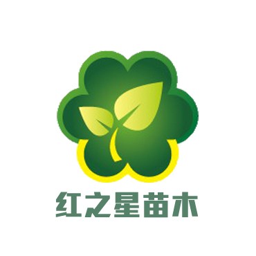 大葉女貞基地