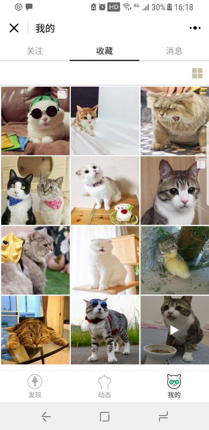 吸貓君截圖