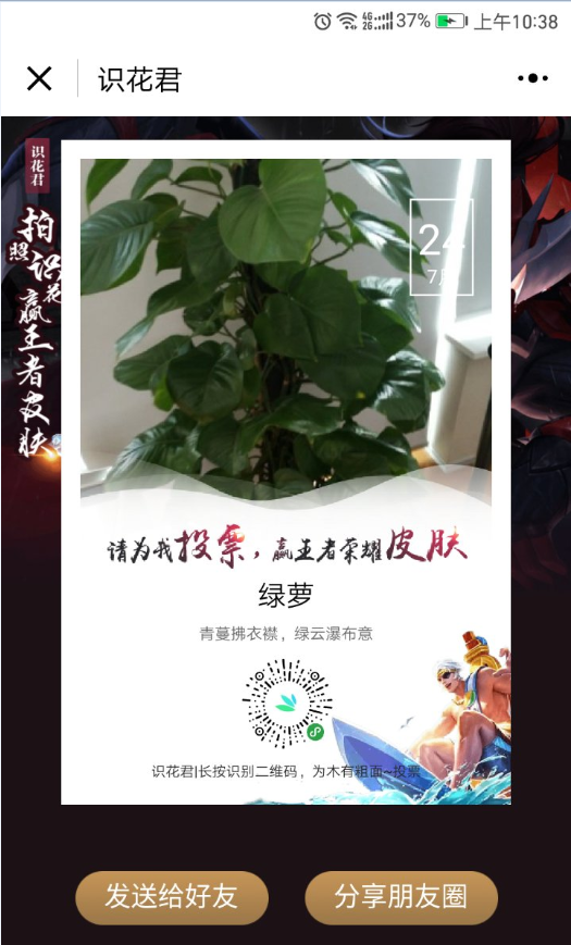 識花君截圖