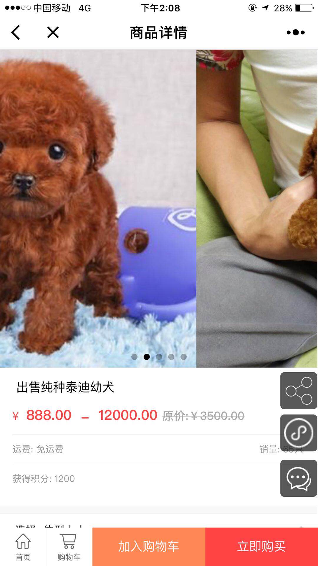 喀什咪呢來寵物用品配送網(wǎng)截圖