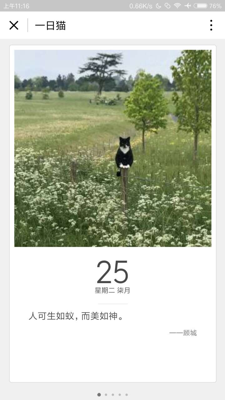 一日貓小卡片截圖