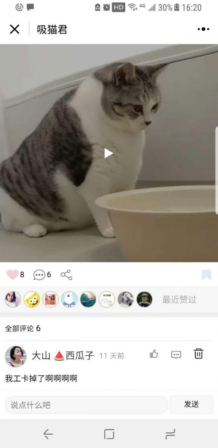 吸貓君截圖