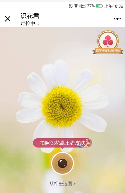 識花君截圖