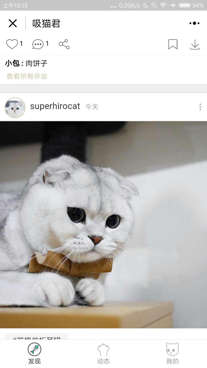 吸貓君截圖