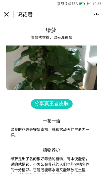 識花君截圖