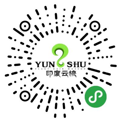 印度云梳海娜粉植物染發(fā)養(yǎng)發(fā)二維碼