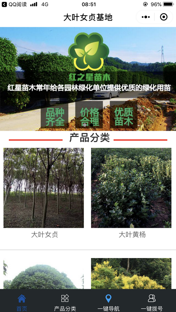 大葉女貞基地截圖