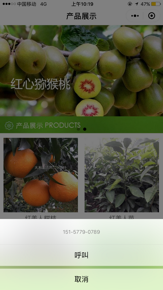 紅美人柑桔截圖