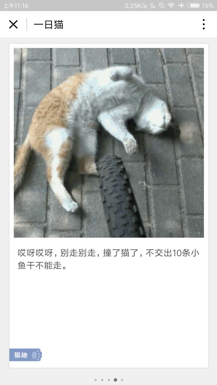 一日貓小卡片截圖